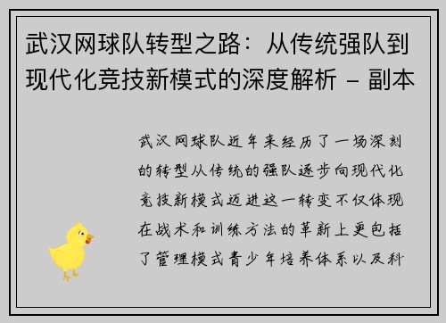 武汉网球队转型之路：从传统强队到现代化竞技新模式的深度解析 - 副本