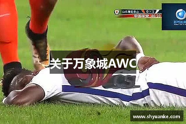 关于万象城AWC